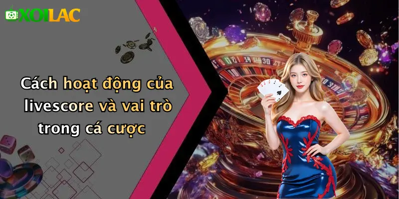 Livescore 1 Cách hoạt động của livescore và vai trò trong cá cược