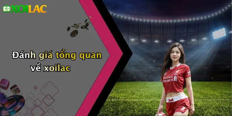 xoilac 80 Đánh giá tổng quan về xoilac