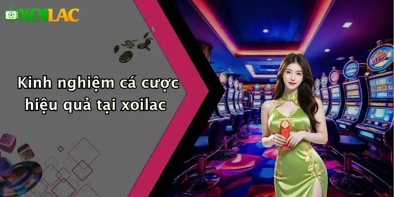 xoilac 77 Kinh nghiệm cá cược hiệu quả tại xoilac