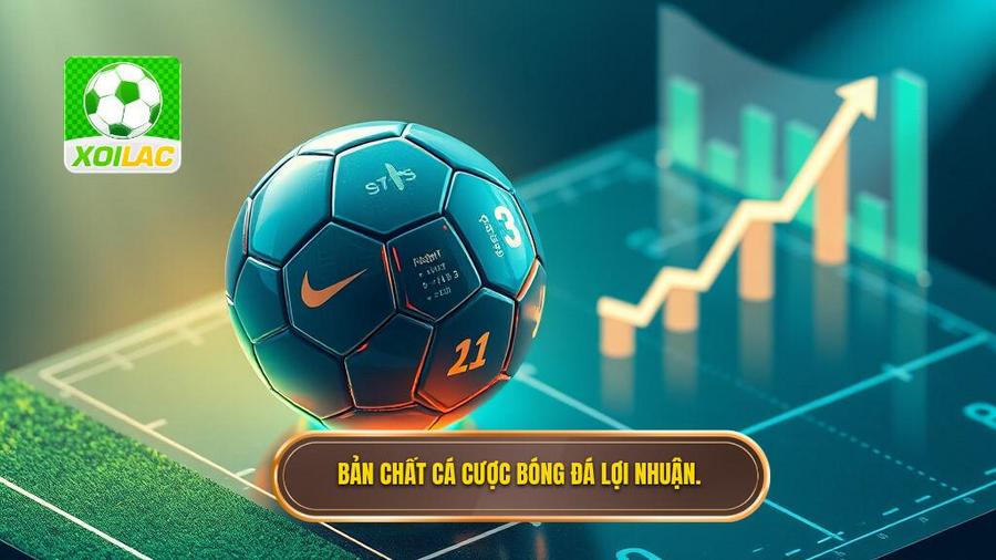 1. Bản chất cá cược bóng đá lợi nhuận.
