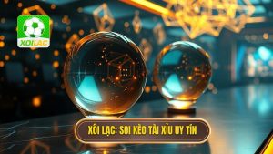 Xôi Lạc_ Soi kèo tài xỉu uy tín