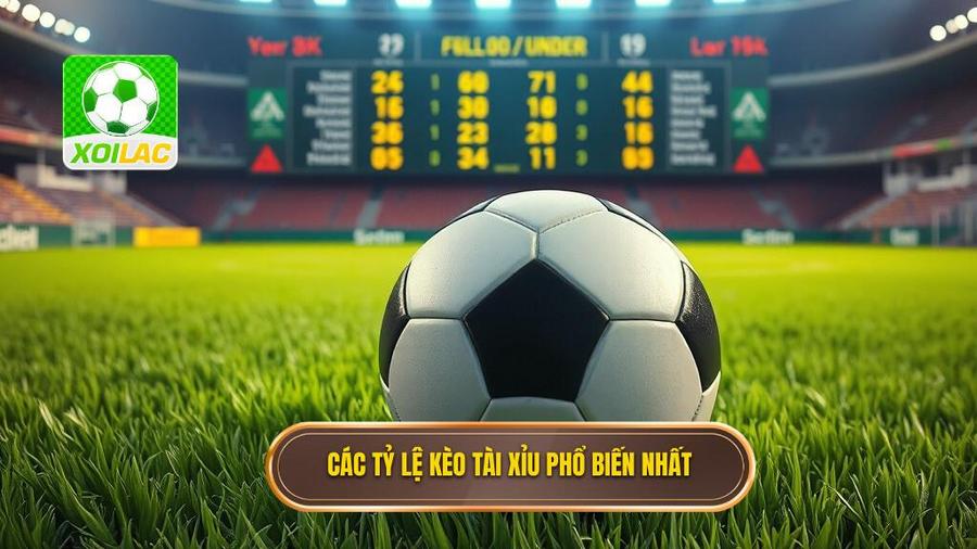 Các tỷ lệ kèo bóng đá tài xỉu phổ biến nhất hiện nay