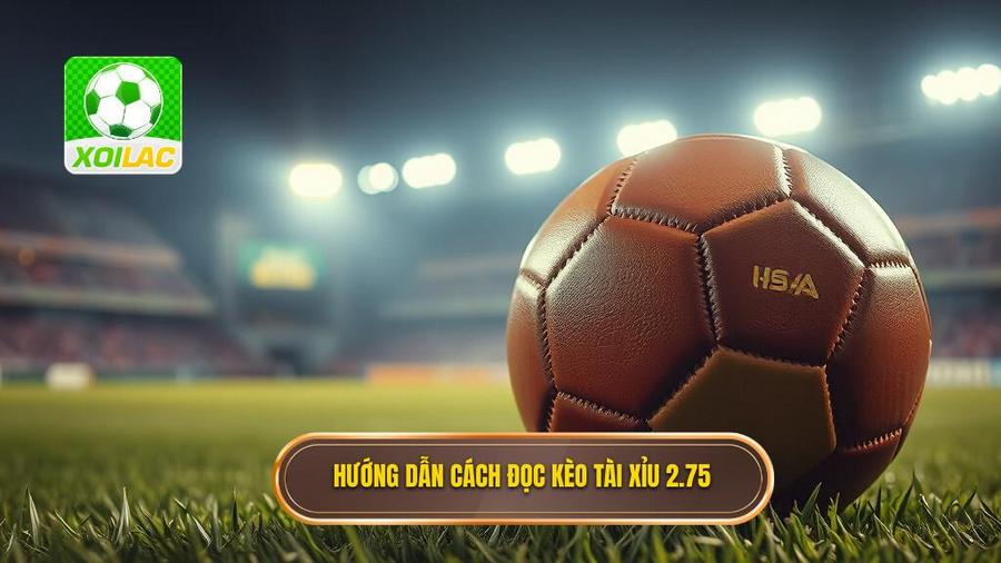Kèo tài xỉu 2.75 là gì? Giải mã chi tiết và chiến thuật chơi bất bại 3 Cách đọc kèo tài xỉu 2.75 chi tiết nhất