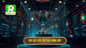 Kèo cược đội giành cúp bạc: Cẩm nang toàn tập cho bet thủ chuyên nghiệp