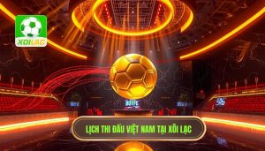 lịch thi đấu đội tuyển việt nam